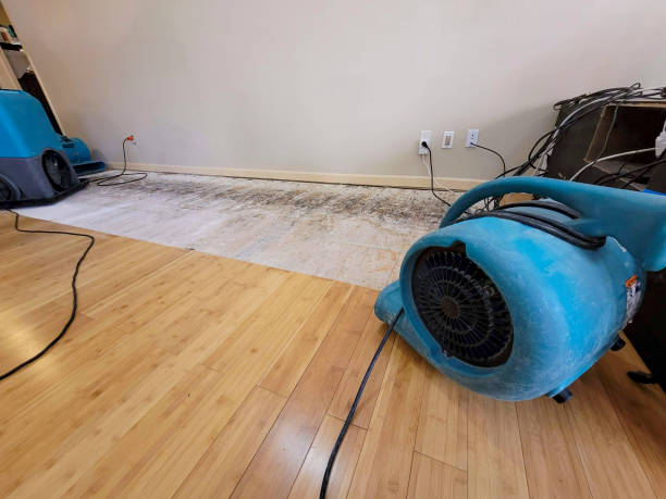 Professional Structural Drying technician working in Hudson, NC